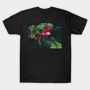 Fuchsia 1 T-Shirt